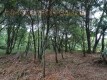 Foto5