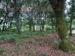 Foto7