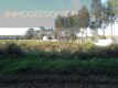 Foto7