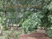Foto32