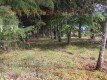 Foto34