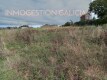 Foto5