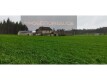 Foto36
