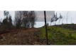 Foto40