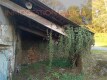 Foto7