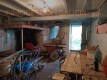 Foto8