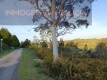 Foto5