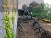 Foto13