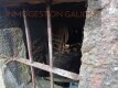 Foto16