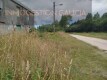 Foto5