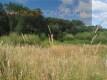 Foto8