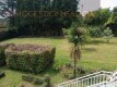 Foto19
