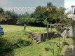 Foto35