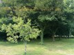 Foto39
