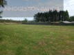 Foto40
