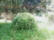 Foto29