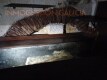Foto7