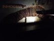 Foto14