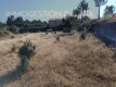 Foto7
