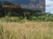 Foto8