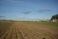 Foto9