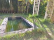 Foto20
