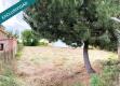 Foto9