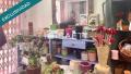 Foto6