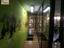 Foto31