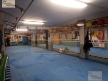 Foto8