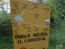 Foto31