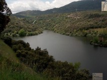 Foto33