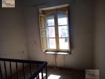 Foto11