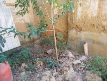 Foto18