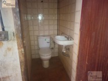 Foto5