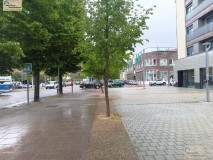 Foto1