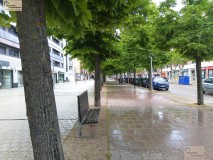 Foto2