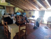 Foto37