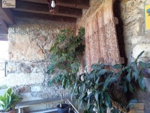 Foto5