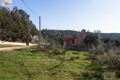 Foto1