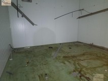 Foto13