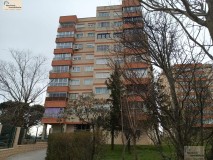 Foto1