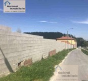 Foto3