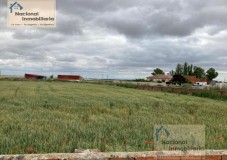 Foto4