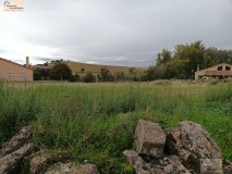 Foto1
