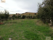 Foto2