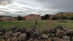 Foto4