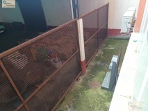 Foto11