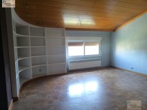 Foto37