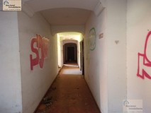 Foto19